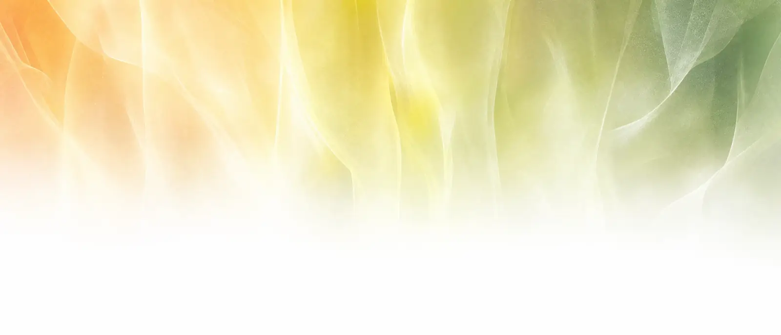 Amber, gold, and jade light flowing across the homepage header